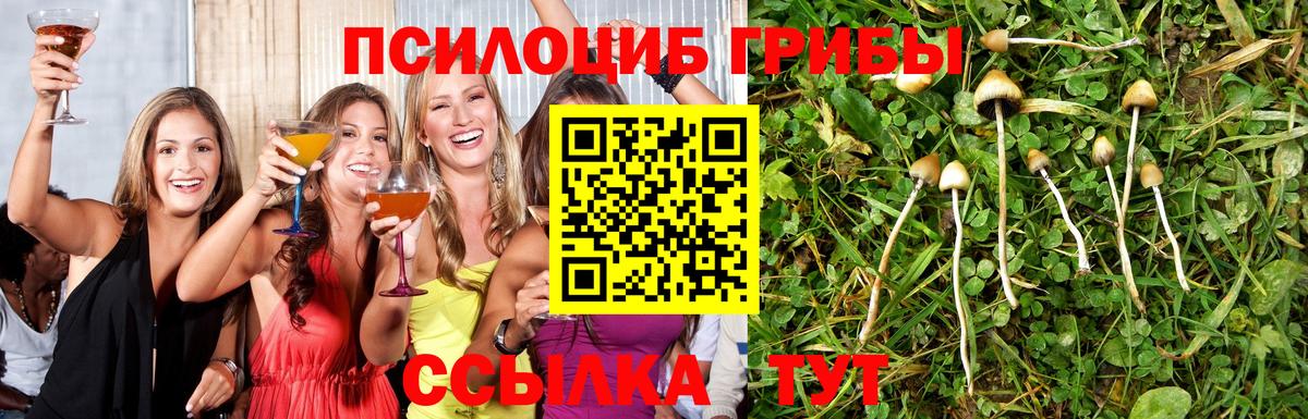 Вязники  Галлюциногенные грибы MAGIC MUSHROOMS  Псилоцибиновые грибы Cubensis  Вход с VPN 